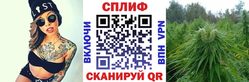 Каннабис AK-47 Хасавюрт